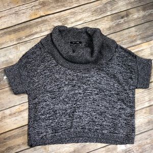 Chaus Sweater